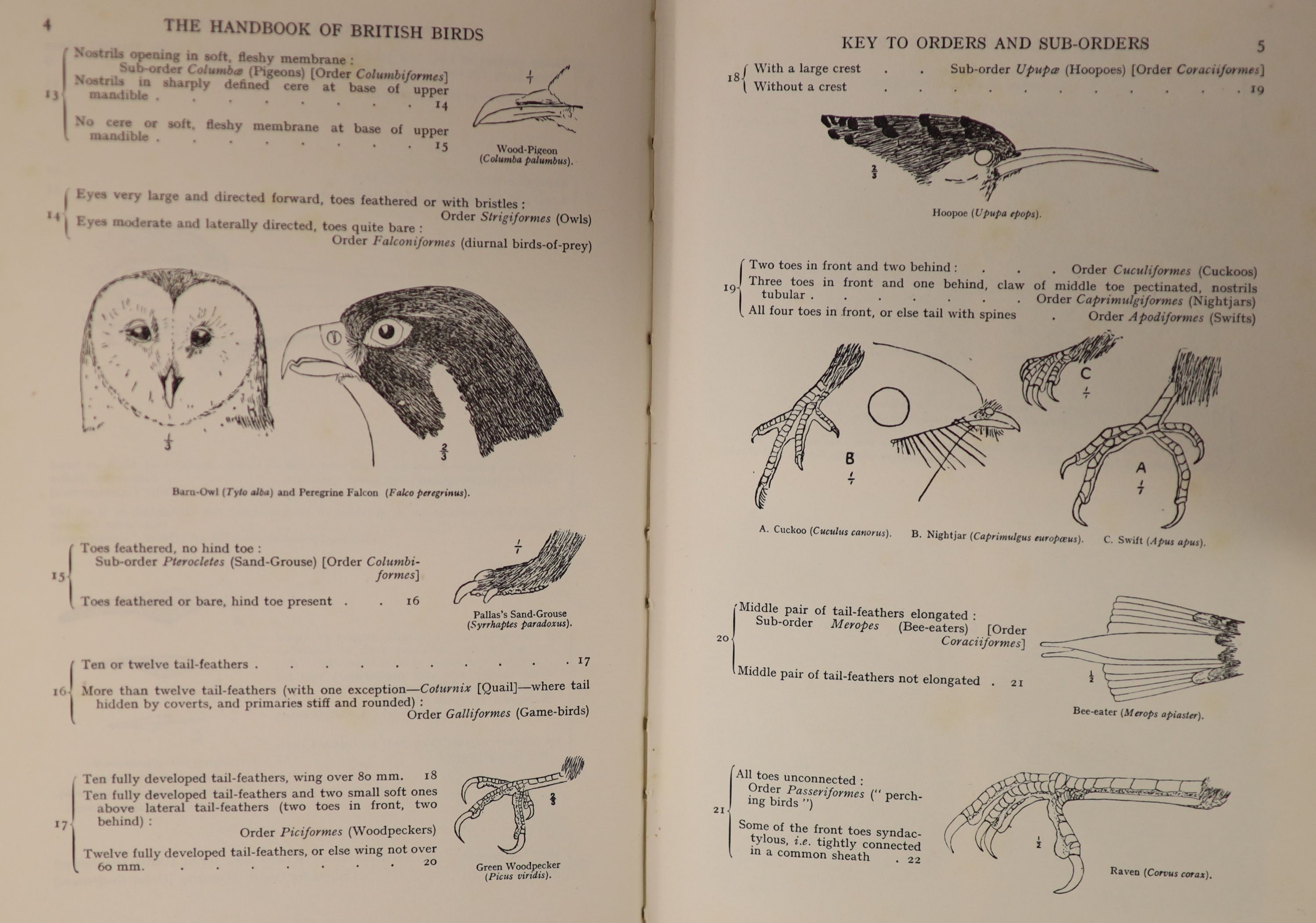 Witherby, H.F. [and others] - The Handbook of British Birds. 5 vols, 1st edition. Complete with the listed 147 plates (both coloured and black and white), and numerous text illustrations. Publishers’ cloth, gilt lettered